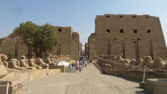 スフィンクス参道も見えてきました。