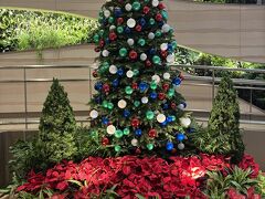 セントレアから約6時間半でチャンギ空港に到着しました。