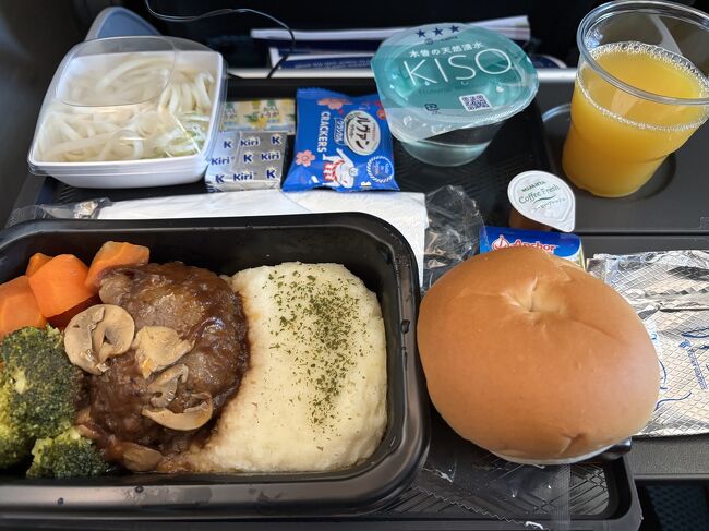 機内食は鶏の生姜焼きとご飯か、ハンバーグとマッシュポテトかを選べて、夫は鶏の生姜焼き、私はハンバーグを選びました。<br /><br />最後尾の座席だったからか、揺れが酷くて酔ってしまい、あまり食べれなかったけど、食欲があればとても美味しくいただけたのに、、、と思いました。