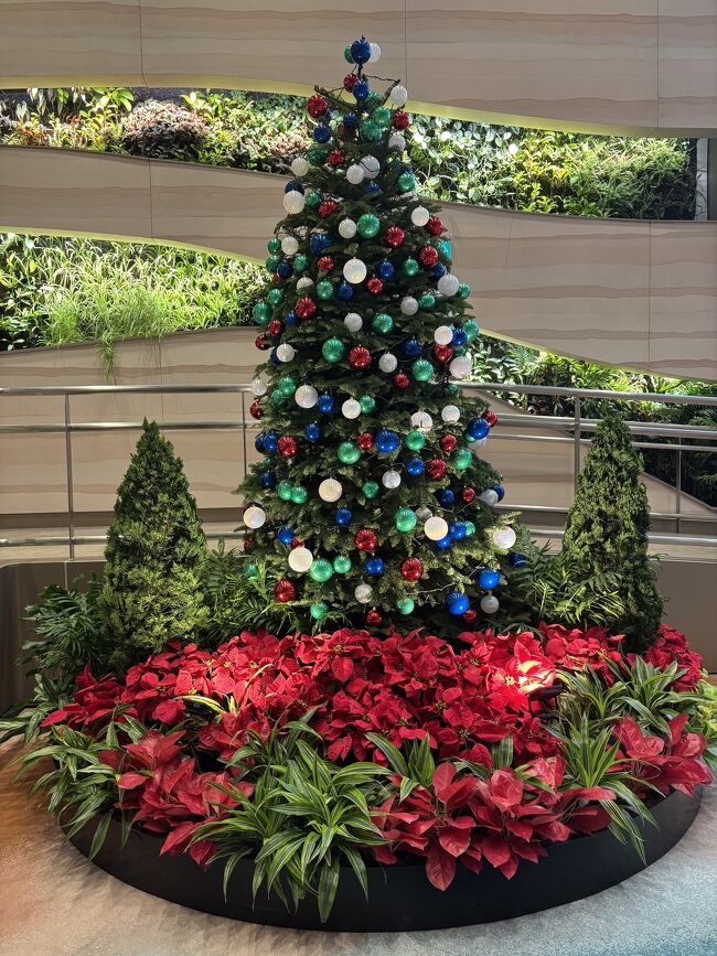 セントレアから約6時間半でチャンギ空港に到着しました。