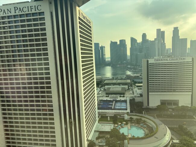 部屋の窓からの眺望です。マリーナベイサンズ側ですが、目の前に別のホテルがあるので全く見えませんw