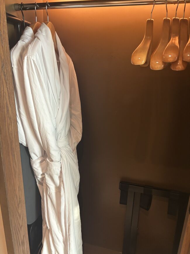 クローゼットには重量感のあるバスローブがありました。