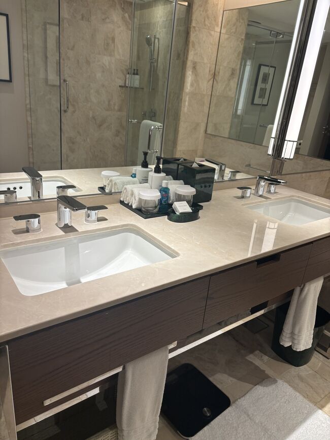 洗面台は女子旅にも良さそうなダブルシンク。