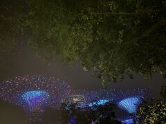 20時45分からの無料のショーを2人で見るために、ホテルからガーデンズバイザベイまで歩いてきたのに、私が『間に合わない！始まっちゃう！』と走り出したせいで、夫とはぐれ、1人で見る羽目に...

夫とはショーが終わってから無事に合流しました。