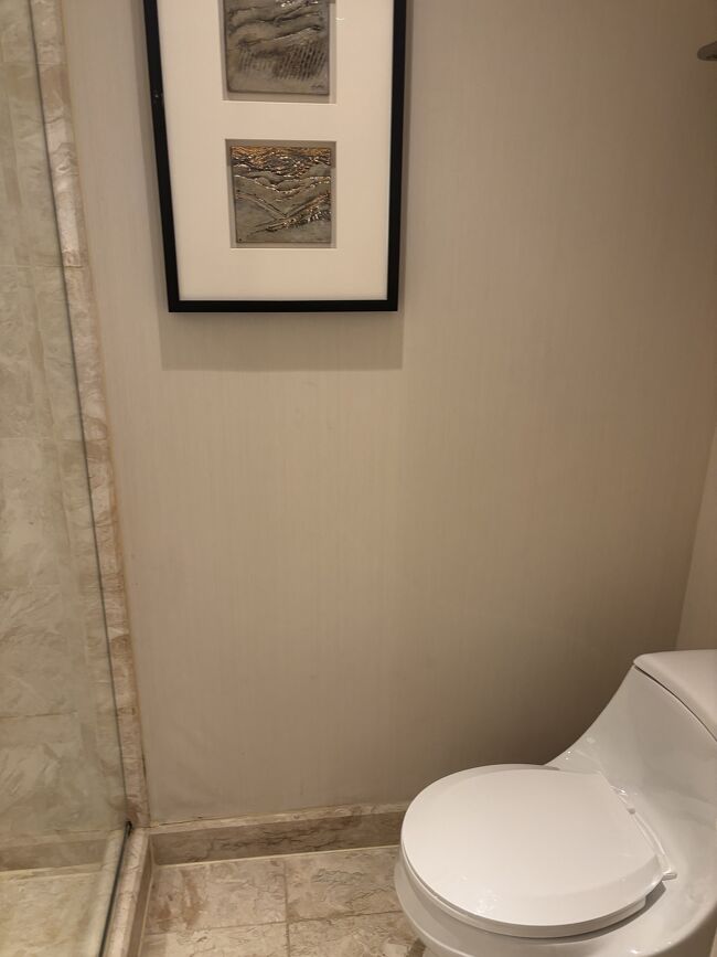 洗面台のすぐ隣にトイレがありました。