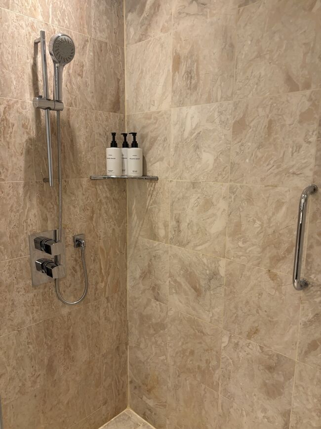 トイレの奥がガラス張りのシャワールームになっていました。