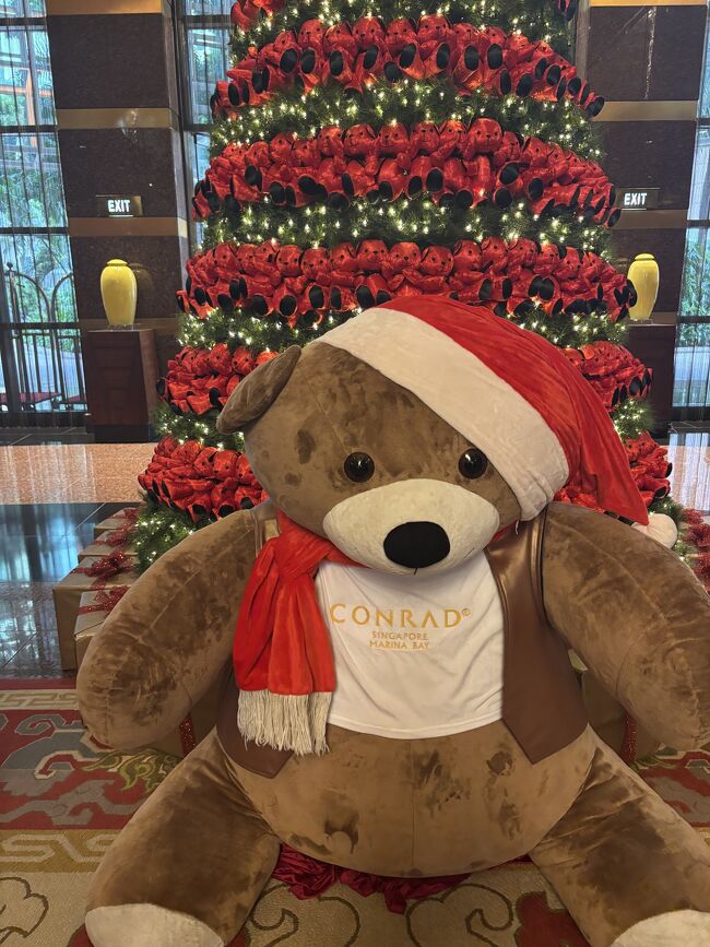 コンラッドシンガポールマリーナベイに到着しました。<br />この後のチェックイン時に、チェックアウトは12時と言われましたが、ダメもとでレイトチェックアウトをお願いしたら15時までOKもらえました！<br />