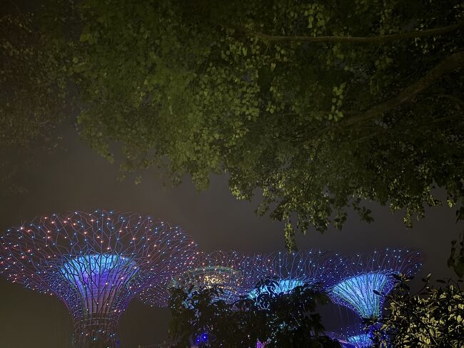 20時45分からの無料のショーを2人で見るために、ホテルからガーデンズバイザベイまで歩いてきたのに、私が『間に合わない！始まっちゃう！』と走り出したせいで、夫とはぐれ、1人で見る羽目に...<br /><br />夫とはショーが終わってから無事に合流しました。