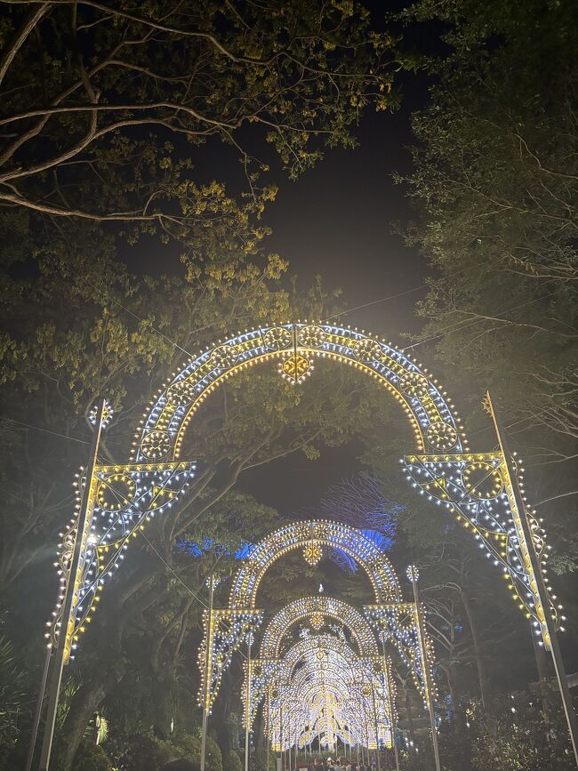 光のトンネルも綺麗でした。