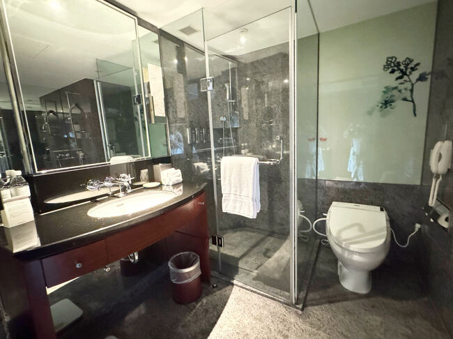 ウォシュレットあり<br />シャワーブースあり