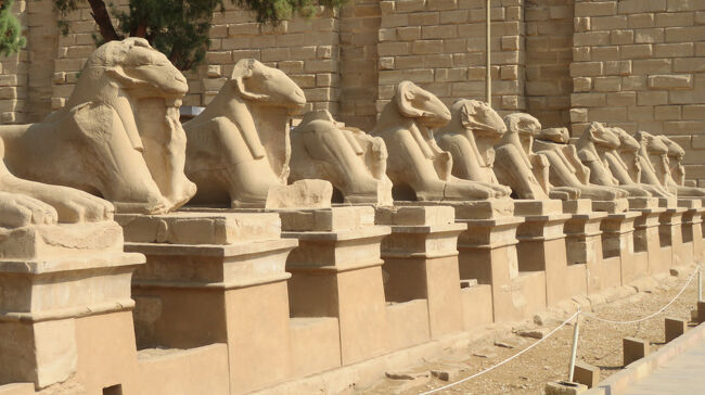 ここのスフィンクスは頭部が羊です。アムン神が祀られている事を示しています。