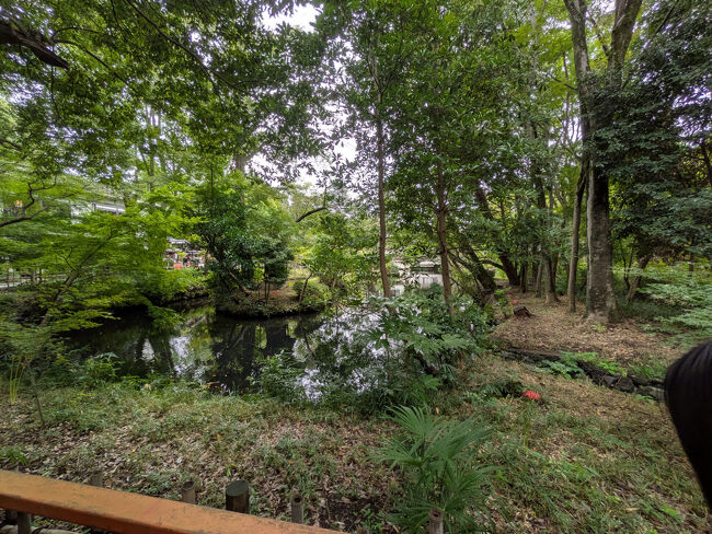 亀島弁財天池を望み