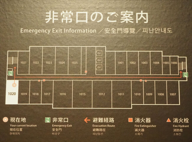 ■□■□■12/11(木)２日目<br />□■□■□湯の川温泉・海と灯<br />■□■□■１0F客室