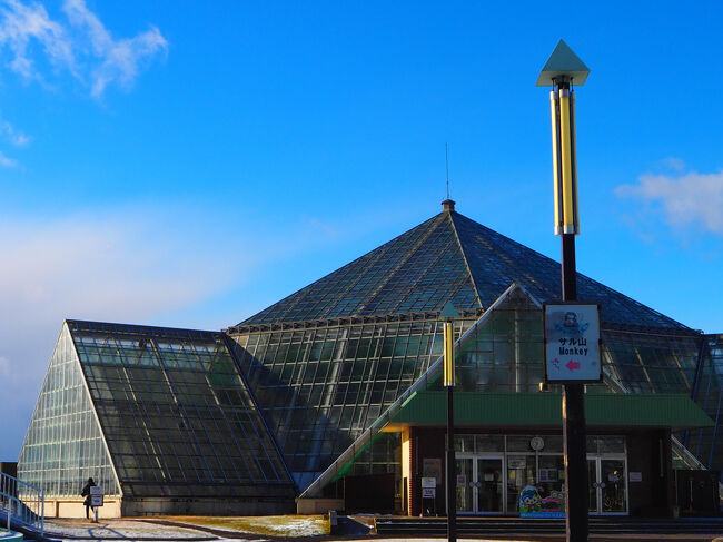 ■□■□■12/12(金)３日目<br />□■□■□函館市熱帯植物園<br />■□■□■温室