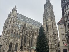 シュテンファン大聖堂の前で少し自由時間。

ツアー離脱して、ベルヴェデーレ宮殿に行くことを伝えていたので、
現地ガイドさんに
地下鉄の駅に降りて切符を買いにつれて行ってもらいました。感謝です。