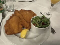 シュテンファン大聖堂からは、かなり徒歩で移動して、ウィーン市庁舎のところのレストランで昼食でした。

ツアーなので、結構メニューが出てくるまで時間がかかった。
もうスマホのバッテリーがなくなりつつあるので、「シュニッツェル」の写真しかなかった。かなり大きいので食べきれない。
デザートはザッハトルテだったのだけど、なかなか出てこないので
持っていたジップロックに入れてお持ち帰りさせてもらいました。

もうベルヴェデーレ城の予約時間がせまっている。ここで離団させてもらいました。