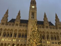 市庁舎とクリスマスツリー。
