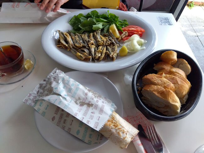 シーフードが食べたかったので、小魚のフライと鯖サンドならぬ鯖ロールを頼みました。魚料理を頼むとネコちゃんがやってくるのはご愛敬です。この時やってきたネコは積極的に膝まで登ってこようとしたので驚きました。<br /><br />もちろん少し離れたところでカモメもおこぼれを狙っていました。私たちはテラス席で食べていたので、もしかしたら上空から食べ物を狙っていた鳥はもっといたかもしれません。<br /><br />全部、人間だけでいただきました。とても美味しかったです。<br />Ada Turka cafeというところで950トルコリラでした。