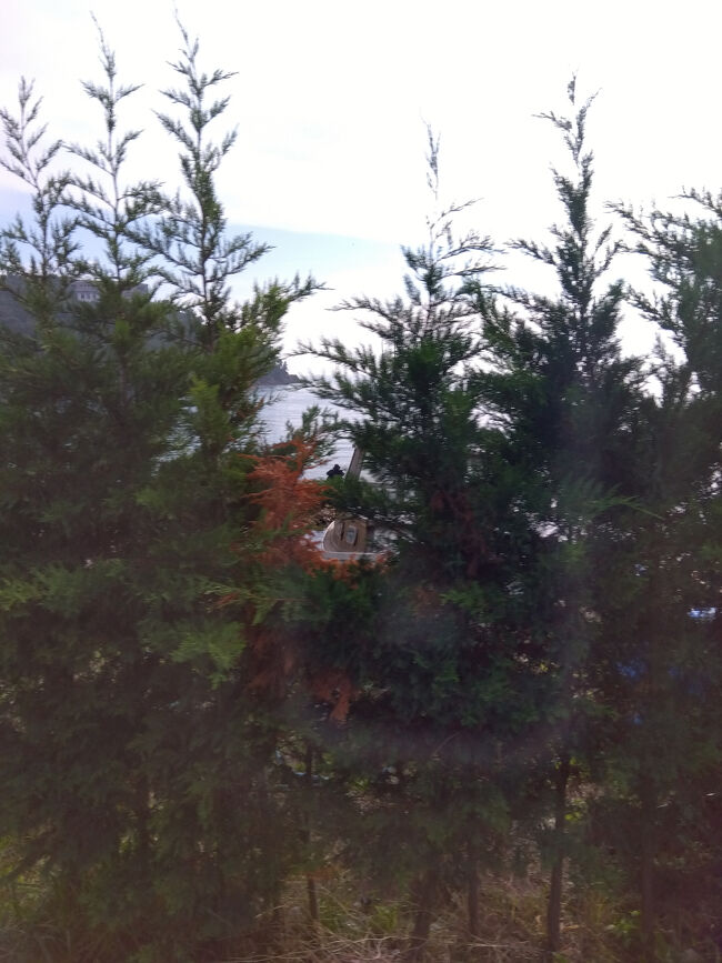 結局、バスは島を一周して元に戻ってきました。自分たちの意図が周りに通じなかったと、うかない顔をしていたら、最初から最後まで一緒に乗っていたおじさんが、手でくるっと丸を書いてにっこりしました。何も言わなかったけれども、おじさんは「このバスは島めぐりのバスだよ、観光客はみんなこのバスに乗るんだよ」と伝えてくださったんだと思います。<br /><br />おじさんは二人連れで、もう一人のおじさんと仲良く手をつないで歩いて行きました。目線だけでメッセージを伝えてくれたおじさんと、仲のよさげなカップルぶりが素敵でした。