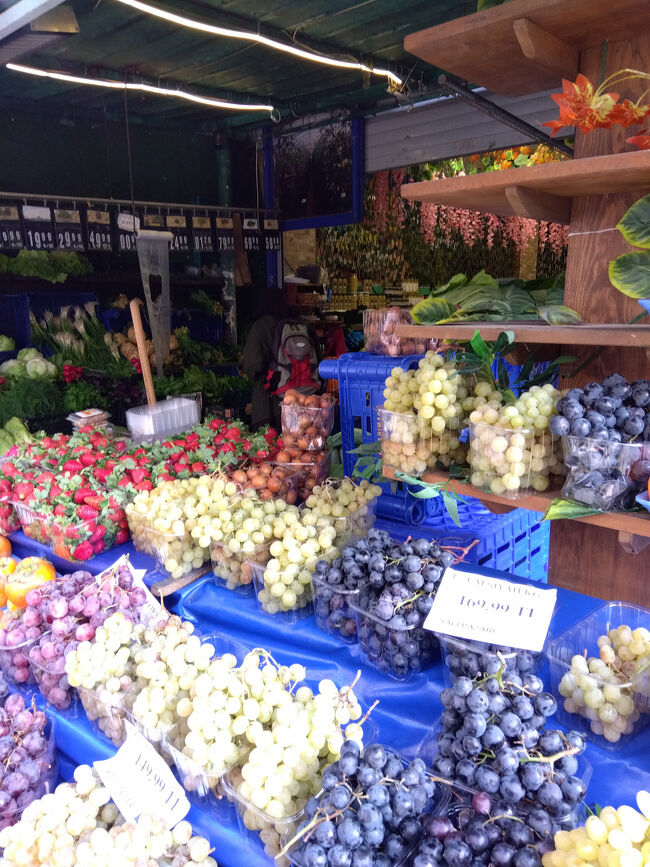 11月3日（月）【Day 6】休養<br /><br />明日は朝5時半にタクシーで空港に行き、カッパドキア行の飛行機に乗ります。<br />今日はお休みの日ということでカドゥキョイをぶらぶらして、せっかくなのでホテルのテラスでランチを食べることにしました。<br /><br />フルーツ、総菜、ピラフを買って庭で広げるとすぐにネコちゃんが現れます。ついでに虫も寄ってきたので結局、部屋で食事をすることになりました。鶏ピラフの容器を開けてからネコちゃんが現れるまで10秒はかからなかったでしょう。するどい嗅覚に完敗です。