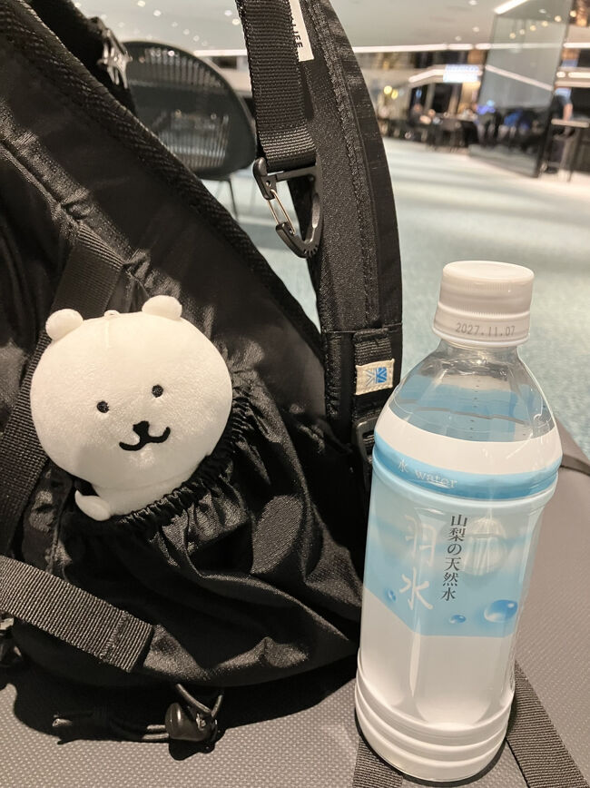 深夜2時出発なので終電で第2ターミナルに着いたら結構ギリギリで反省。第2ターミナルビルに着いてから結構歩くのですね。しかもパスポートの顔認証が全然反応しなくて地上スタッフさんと2人でワタワタ。結局人力(？)で通過させてもらいました。