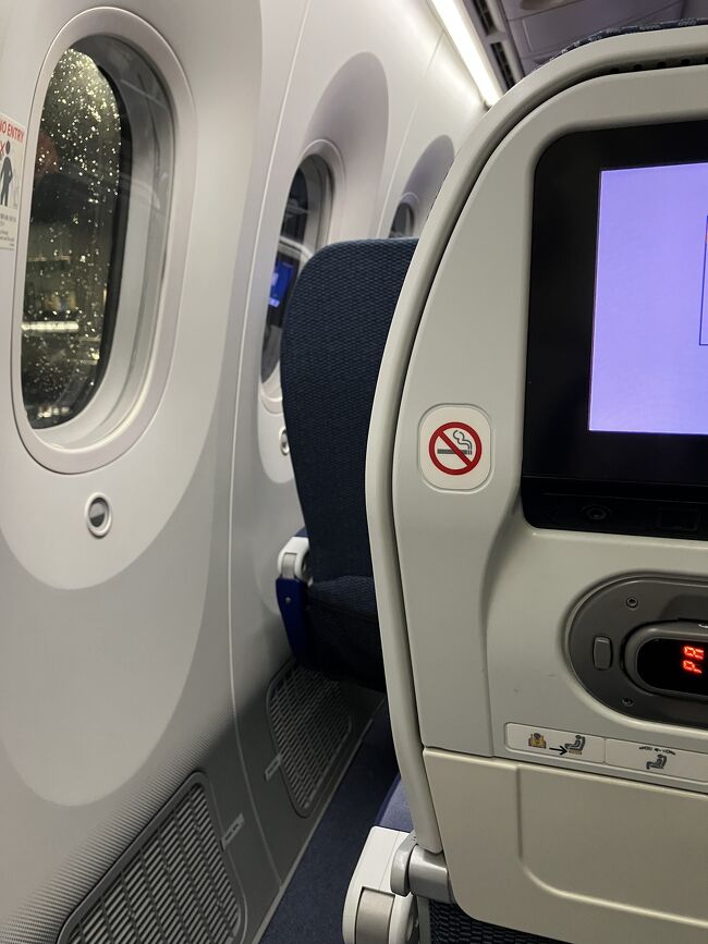 日曜早朝に香港到着する便なので7割位香港人だったような…みんな手荷物の量がすごい。LCCじゃないんだから預ければいいのに。<br /><br />しかし往路はなかなかしんどかった。隣が大柄かつ着込んだ男性で、起きてる間は本人も縮こまってたけど、めちゃくちゃ寝つきが良く(羨ましい)、イビキもあり。耳栓持っててよかったと心底思いました。4時くらいにデミグラスハンバーグor照り焼きチキンという夜食なのか朝食なのかわからないガッツリ飯配布。ハンバーグ一口とフルーツ類だけ食べたけど、軽食BOXみたいなので全然いいですよ、ANAさん。