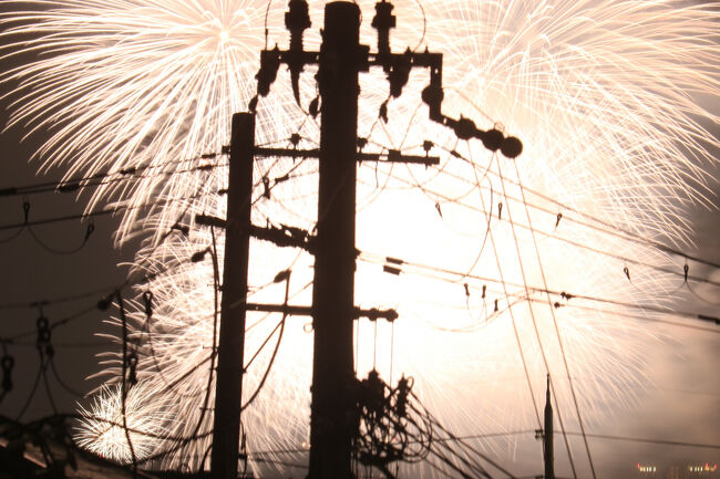 今年も人の波が苦手なので