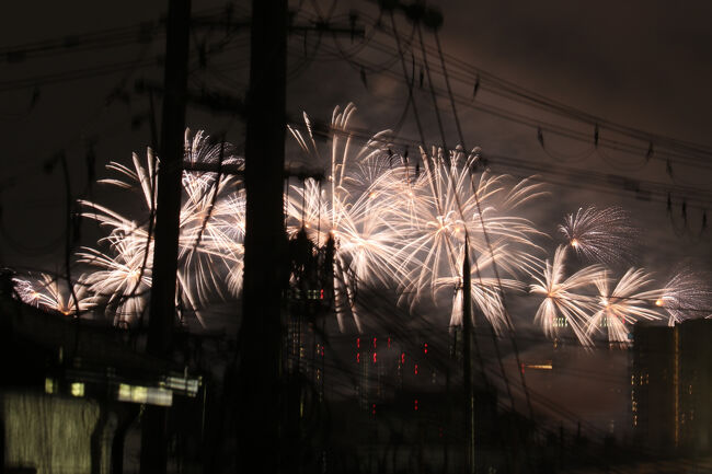 近くでみると迫力がありますが