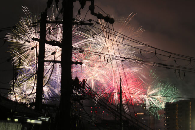 帰りは人の渋滞で動きません。