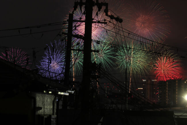 毎年見たくなります。