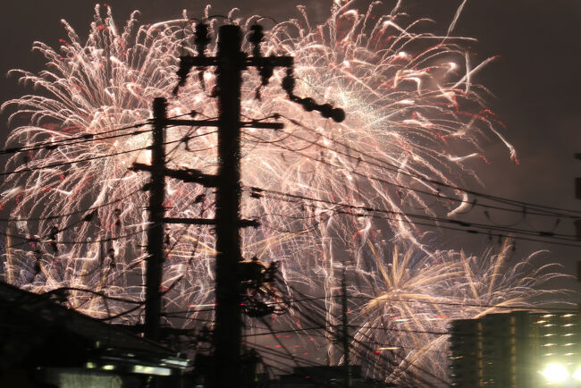 今年は涼しくてよかったのですが・・・・