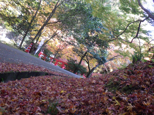 この道歩行者専用