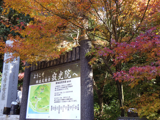 ここから左の参道を登りですが、周り一面真っ赤なモミジが続きます