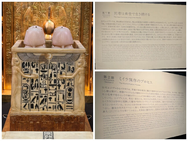 遺跡からは、カノプスと呼ばれた臓器の収納壺もたくさん発見されています。