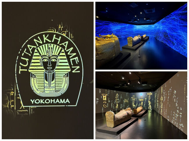 驚くほど厳重に守られていたんだとか。<br />そうこうしているうちにマッピング映像が流れ出し、ショーの始まり♪