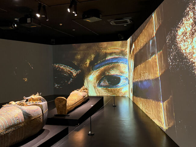 VRやマッピングの技術が発達し、展覧会や美術展も昔とは異なったタイプのものが増えてきて、