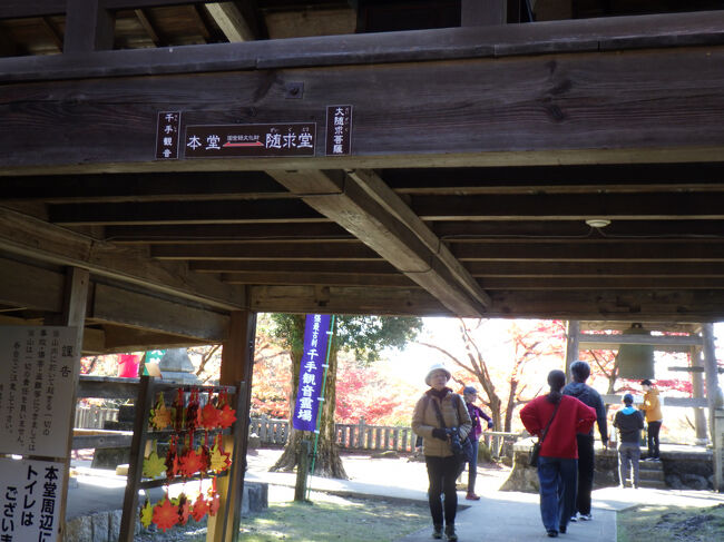 登り切り、本堂と隋求堂をつなぐ渡り廊下の下を潜ります