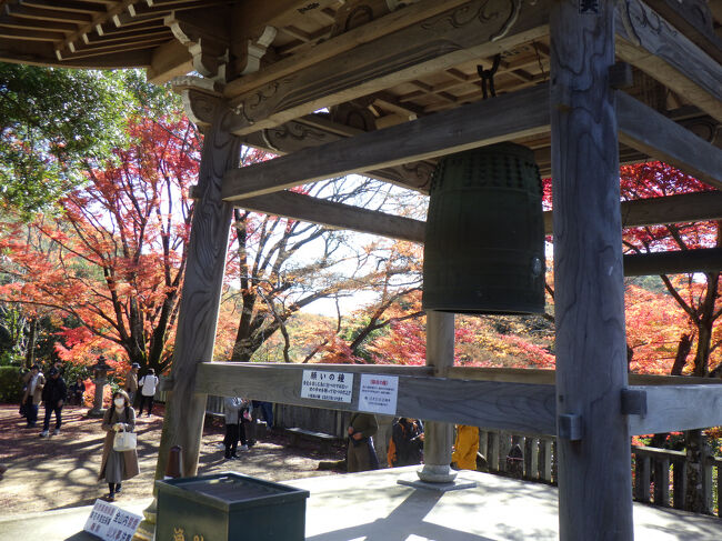 鐘楼の周りの紅葉