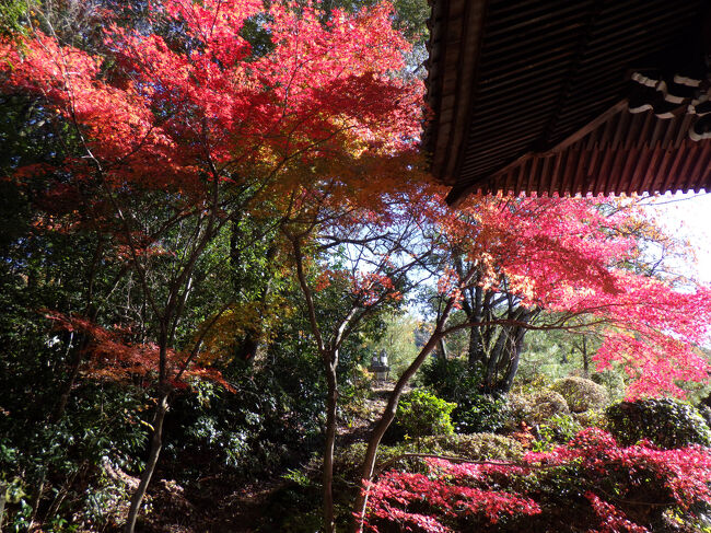 本堂裏　　右上本堂の屋根