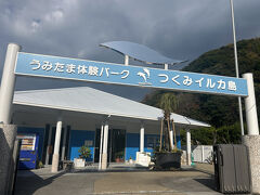 津久見駅からバスに乗って【つくみイルカ島】

平日か土曜か日曜かでまるで異なるバスダイヤに要注意。
https://www.city.tsukumi.oita.jp/uploaded/attachment/17191.pdf

ここの最寄りJRは日代駅ですが、バスが一律200円なのでどこで乗っても同じ。ならばランチが充実している津久見だなと考えた次第です。
さらに言うと、津久見駅にはレンタサイクルもありますが、料金は結局バスのほうが安いし、トンネルが多い道ゆえ車道を走るのはかなり怖いと思います。片道8kmくらいだったかな･･･