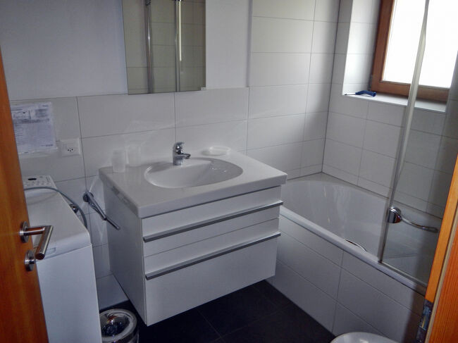 洗面台も立派なものが付いている。バスタブがあるのはありがたい。