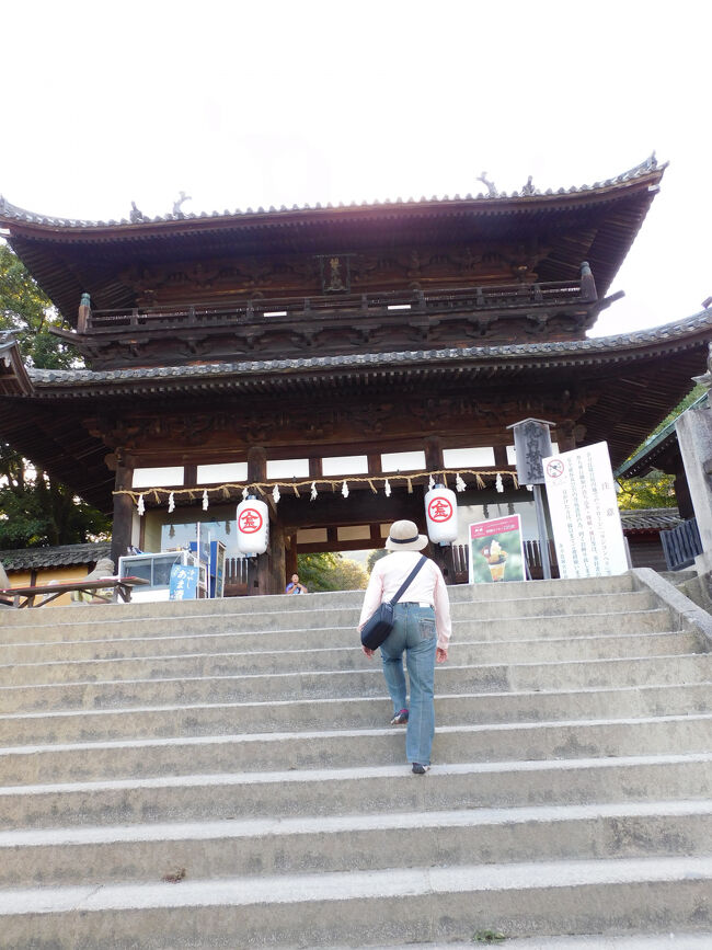 こちらが金刀比羅宮の大門．