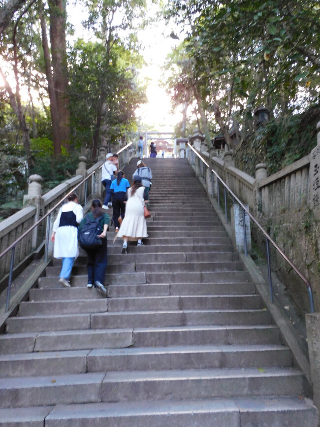 更に石段を登ります．