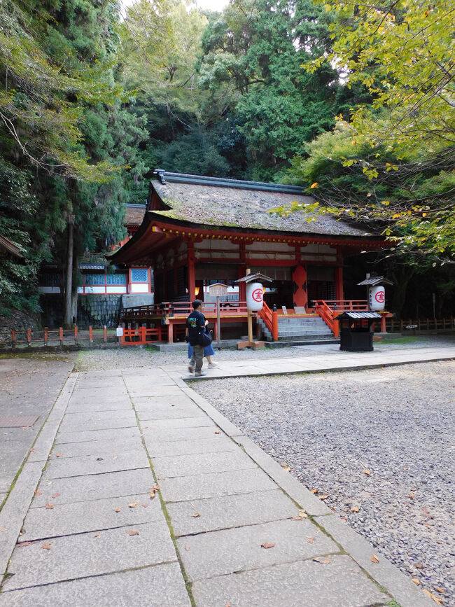 結局白峰神社でタイムアップ．これから自転車で戻って，夜の丸亀城ライトアップを見に行くには時間が足りませんでした．金刀比羅宮から丸亀城までは13kmほどあり，自転車だと1時間以上かかります．