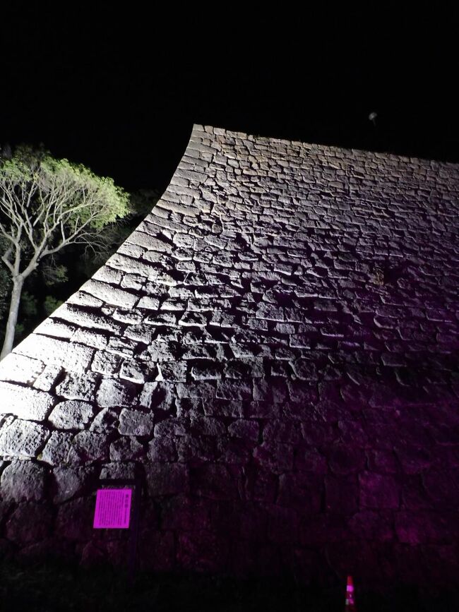 で，何とか丸亀城のライトアップに間に合いました．