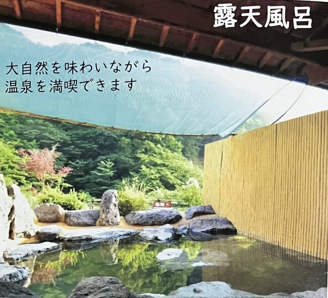 【露天風呂には入ってないけどパンフレット写真から】<br />私は景色が楽しめそうな露天風呂600円(内湯より100円高い)に入りたかったんですが、受付で今日は熱すぎるから露天風呂はお休みです、と言われてしまいました。<br />お姉様方曰く、雨が降った直後はぬるすぎるし、景色もそんなに良いモンじゃないよ、との事。まあ、火口が見える方向じゃないからねえ。でも緑が綺麗そうなんだよなあ。