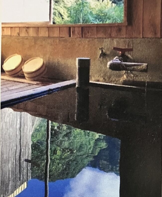 【この写真もパンフレットから】<br />酸性度全国2位っていうのにビビった私は、肌の調子が良い日を選んで来ました。アカギレ、ささくれ、傷口があったら沁みそうだから。結果、ピリピリする事もなく、あったかいお湯だなー、という感想だけです。少し舐めてみたら、レモン果汁のような酸っぱさがありました。<br />塚原温泉のpHは約1.4～1.9。レモン果汁(約2.0～2.8)を超えて胃酸(pH1～2)レベルの強酸性です。お陰で石鹸やシャンプーが使えないらしいです。塚原温泉で使える石鹸を開発するとしたら、どのような成分が最適か？というテーマでAIとしばらく議論したんですが、こんな強酸性なら、お湯に浸かるだけで皮脂は分解されるし角質もピーリングされるから石鹸不要！という結論に至りました。<br /><br />そういや鉄イオンの含有量は全国1位らしいんですが、ほとんど感じられませんでした。鉄臭さもないんだよなあ。お湯の色はほぼ無色透明だし。酸性が強すぎて不溶性塩を作る事なく溶け込んでるみたい。だとしたら、成分がものすごく肌から浸透しそうです。<br /><br />いわゆる硫黄の匂いってのはそこそこしました。硫黄の量に関してはあまり宣伝されてませんが、結構入ってるんじゃないかな。というか、この温泉、全ての成分が濃い気がします。シャワーがなくて温泉成分が付着したまま帰る事になるので、肌が極端に弱ってる方はご注意を。