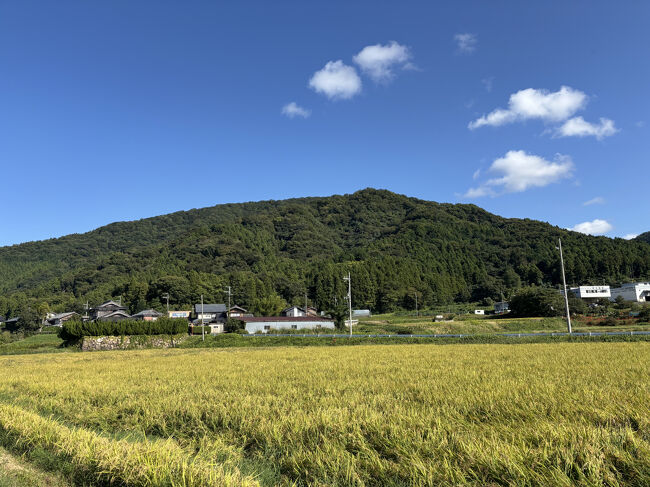 後ろに見える標高197.3ｍの城山の上に国吉城がありました。