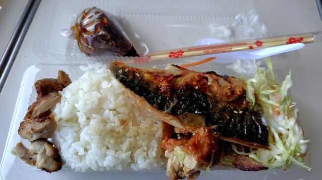 乗車前に買っていた「鶏とサバどっちも弁当」。<br />肉厚で脂ののった、焼き加減絶妙なサバが、めっちゃおいしかった！<br />鶏も良い感じだった。<br />というか、日本で弁当買うよりおいしかった！