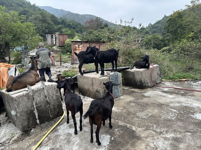 ちょっと歩くとすぐに田舎になります。